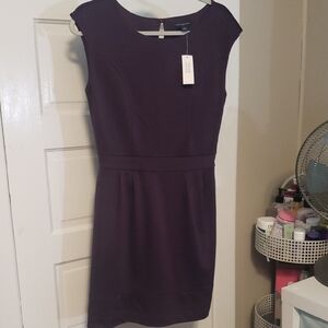 Elegant Purple Dress